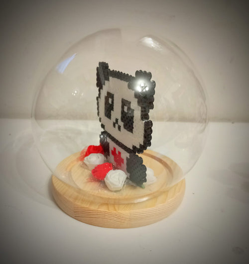 Cupula 4