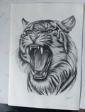 Retrato a lápz tigre