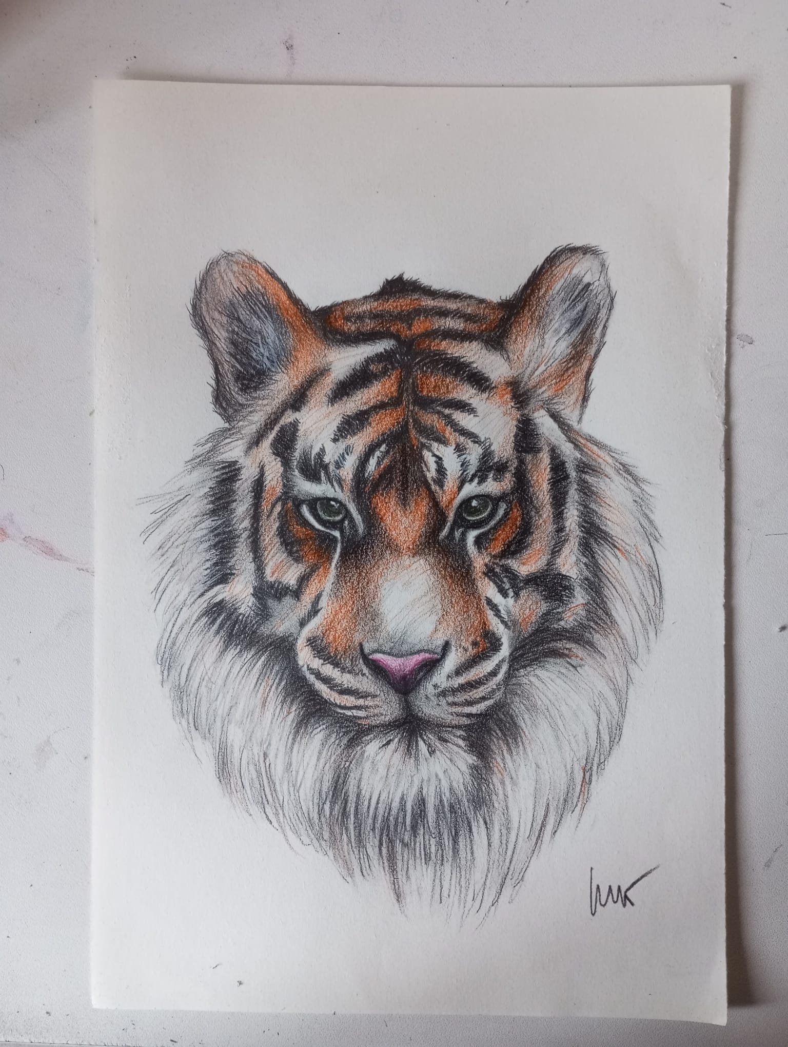 Ilustración a color 5