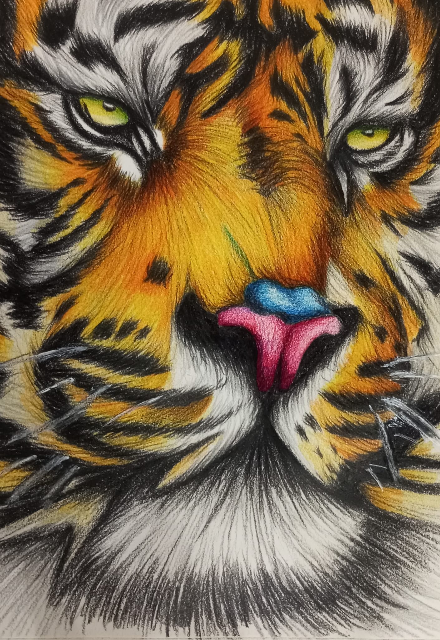 IIustración tigre a color